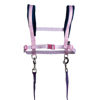 Arnês HKM Funny Horses Hearts Rosa / azul escuro