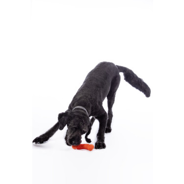 Brinquedo para cão Buddy Bone III borracha natu. HKM Brinquedo para cão Buddy Bone III borracha natu. HKM