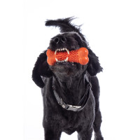 Brinquedo para cão Buddy Bone III borracha natu. HKM Laranja
