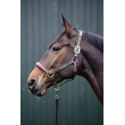 Cabresto Luna couro e nylon HKM Verde / marrom