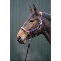 Cabresto Luna couro e nylon HKM Azul escuro / castanho