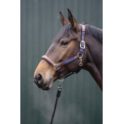 Cabresto Luna couro e nylon HKM Azul escuro / castanho