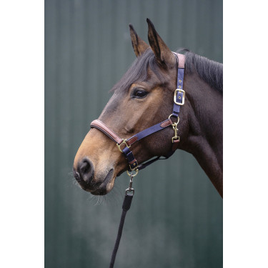 Cabresto Luna couro e nylon HKM Azul escuro / castanho Cabresto Luna couro e nylon HKM Azul escuro / castanho