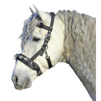 Filete com caveção HKM em nylon Preto Filete com caveção HKM em nylon Preto