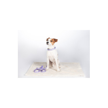 Tapete para cão Lilly HKM Tapete para cão Lilly HKM