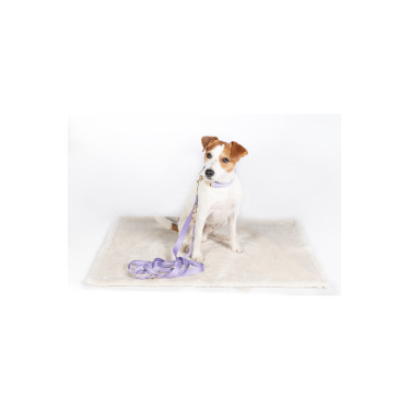 Tapete para cão Lilly HKM Tapete para cão Lilly HKM