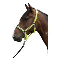 Cabresto Refletivo HKM Amarelo fluorescente Cabresto Refletivo HKM Amarelo fluorescente