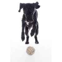 Brinquedo para cão Buddy Knot Ball HKM Natural Castanho