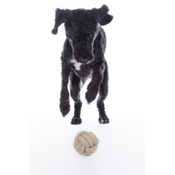 Brinquedo para cão Buddy Knot Ball HKM Brinquedo para cão Buddy Knot Ball HKM