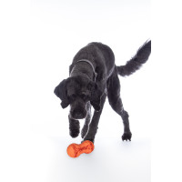 Brinquedo para cão Buddy Bone II borracha natu. HKM Laranja Brinquedo para cão Buddy Bone II borracha natu. HKM Laranja
