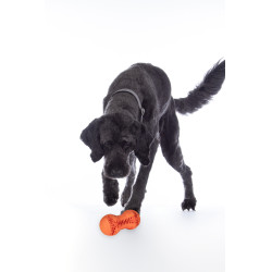 Brinquedo para cão Buddy Bone II borracha natu. HKM Brinquedo para cão Buddy Bone II borracha natu. HKM