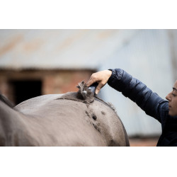 Tondeuse Lister Eclipse