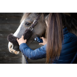 Tondeuse Lister Eclipse