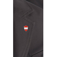 Pequena bandeira Áustria kit com 2 HKM Áustria