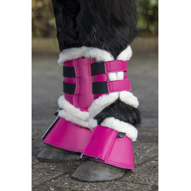 Sinos Comfort Shetty HKM Arando Rosa