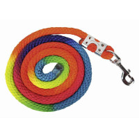 Longe Multicolor avec mousqueton HKM Multicolore Longe Multicolor avec mousqueton HKM Multicolore