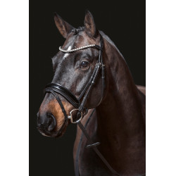 Bridon Fleur HKM Preto Bridon Fleur HKM Preto