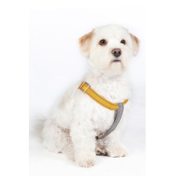 Arnês para cão StepIn Anam Cara nylon HKM Arnês para cão StepIn Anam Cara nylon HKM