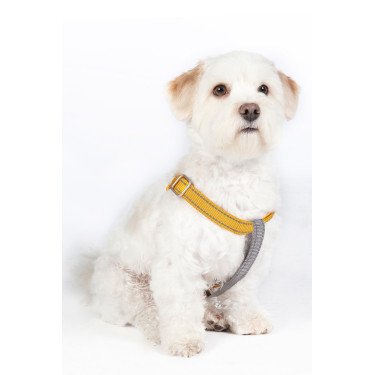 Arnês para cão StepIn Anam Cara nylon HKM Arnês para cão StepIn Anam Cara nylon HKM