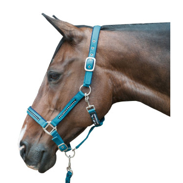 Conjunto de cabresto com mosquetão HKM Crystal acolchoado Petróleo / marinho Azul Conjunto de cabresto com mosquetão HKM Crystal acolchoado Petróleo / marinho Azul