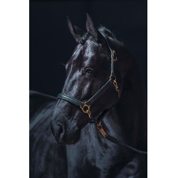 Cabezada de couro Gold HKM Preto