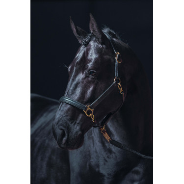 Cabezada de couro Gold HKM Preto