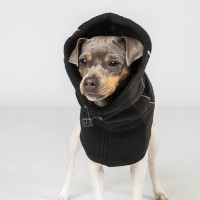 Gola para cão Back on Track Benji Preto Gola para cão Back on Track Benji Preto