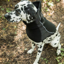 Gola para cão Back on Track Benji Preto Gola para cão Back on Track Benji Preto