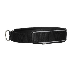Coleira para cão Charlie Back on Track Preto