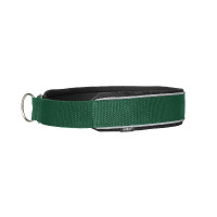 Coleira para cão Charlie Back on Track Verde