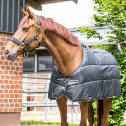 Doublure Rhyolite Back on Track