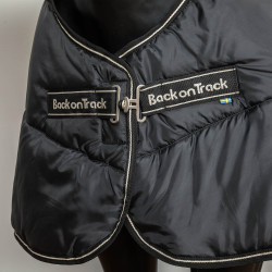 Doublure Rhyolite Back on Track