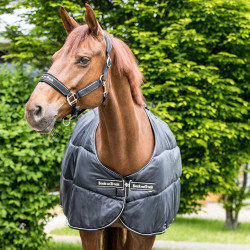 Doublure Rhyolite Back on Track