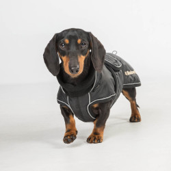 Casaco comprido para cão Back on Track Buddy Preto Casaco comprido para cão Back on Track Buddy Preto