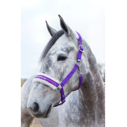 Cabresto Howard Crescendo Horze Cabresto Howard Crescendo Horze