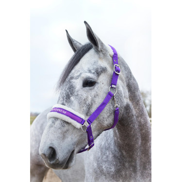 Cabresto Howard Crescendo Horze Cabresto Howard Crescendo Horze