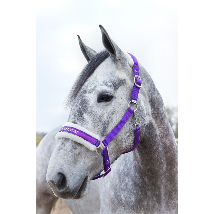Cabresto Howard Crescendo Horze Cabresto Howard Crescendo Horze