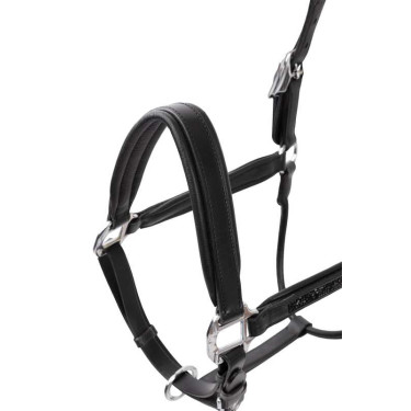 Caveção de couro Horze Delémont Preto