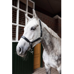 Caveção de couro Horze Delémont Preto