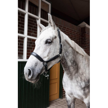 Caveção de couro Horze Delémont Preto