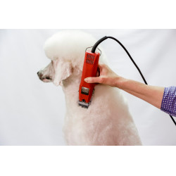 Tosquiadeira Favorita Speed Aesculap Vermelho Tosquiadeira Favorita Speed Aesculap Vermelho