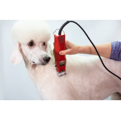 Tosquiadeira Favorita Speed Aesculap Vermelho Tosquiadeira Favorita Speed Aesculap Vermelho