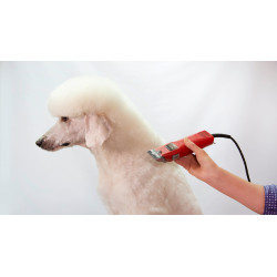 Tosquiadeira Favorita Speed Aesculap Vermelho Tosquiadeira Favorita Speed Aesculap Vermelho