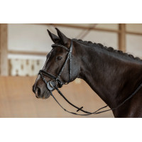 Arruelas de bridão Covalliero Preto