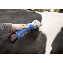 Kabellose Schermaschine Aesculap Econom CL¹