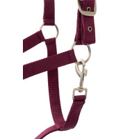 Conjunto de cabresto Horze Eternal Gaze Poção violeta