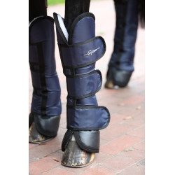 Guinchos de transporte Dexter Covalliero Azul escuro