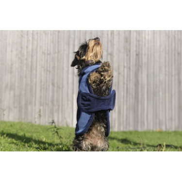 Capa para cão Equithème New Market Capa para cão Equithème New Market