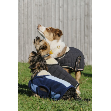 Capa para cão Equithème New Market Capa para cão Equithème New Market