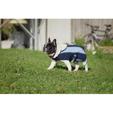 Capa para cão Equithème New Market Capa para cão Equithème New Market